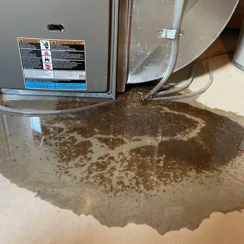 Appliance Leak Cleanup in Delaware County, IN